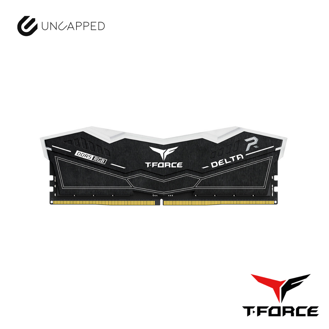 16 GB x 2 (32GB) 6000 Mhz CL30 T-Force Delta